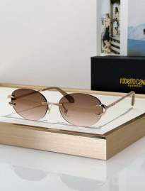 Picture of Roberto Cavalli Sunglasses _SKUfw79280024fw